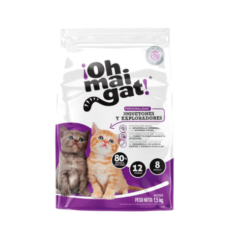 Oh Mai Gat Gatitos Juguetones Y Exploradores