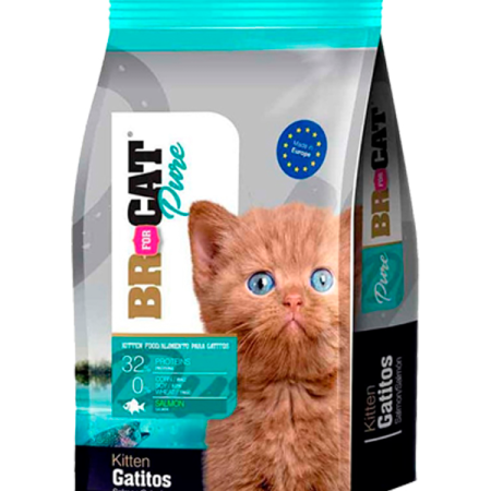 BR FOR CAT Gatitos Salmón